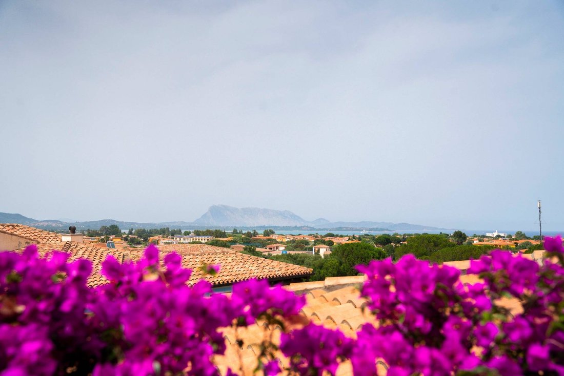 Villa in San Teodoro, Sardinia, Italy 3 - 13962215