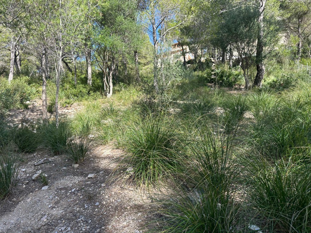 Autres à Capdepera, Îles Baléares, Espagne 5 - 13963511