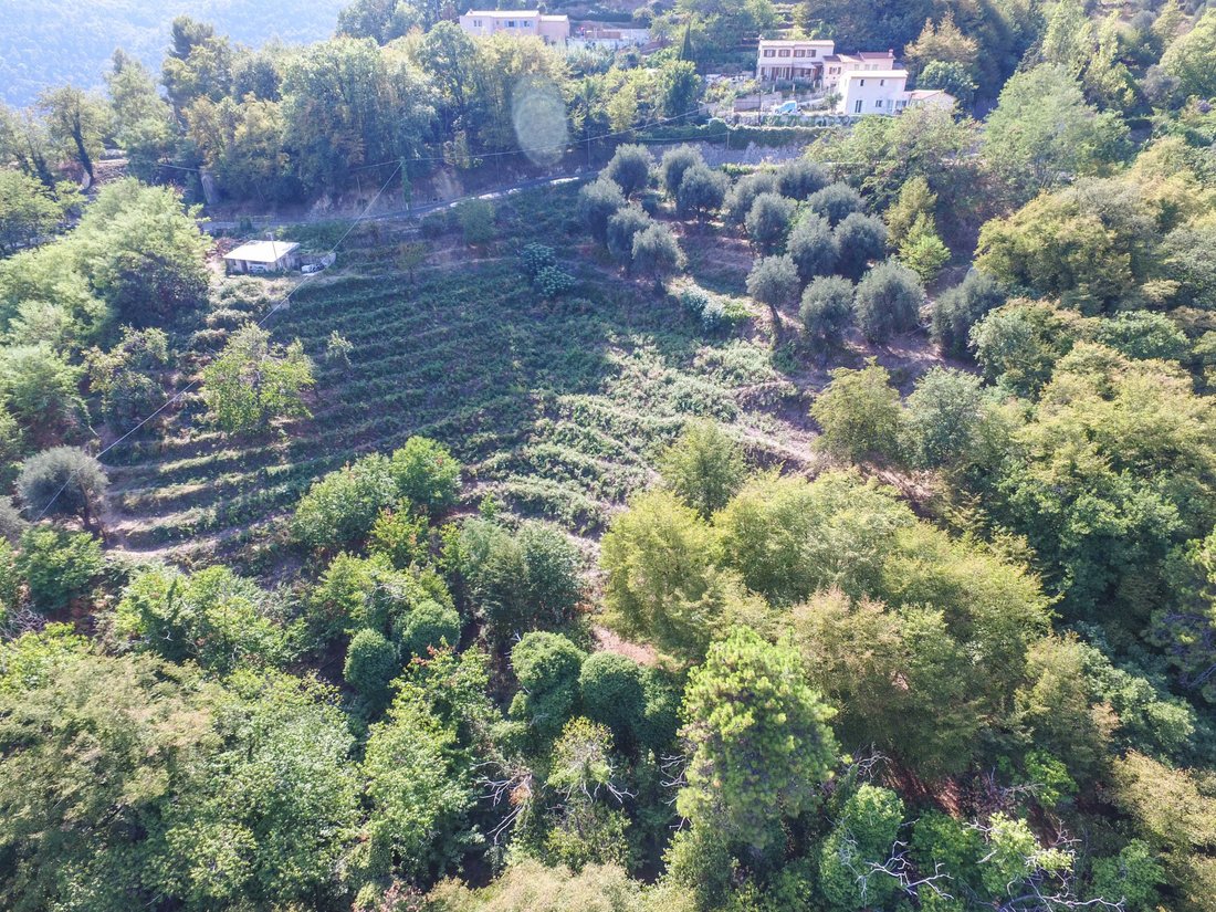 Sainte-Agnes, Provence-Alpes-Côte d'Azur, France 5 - 12256350