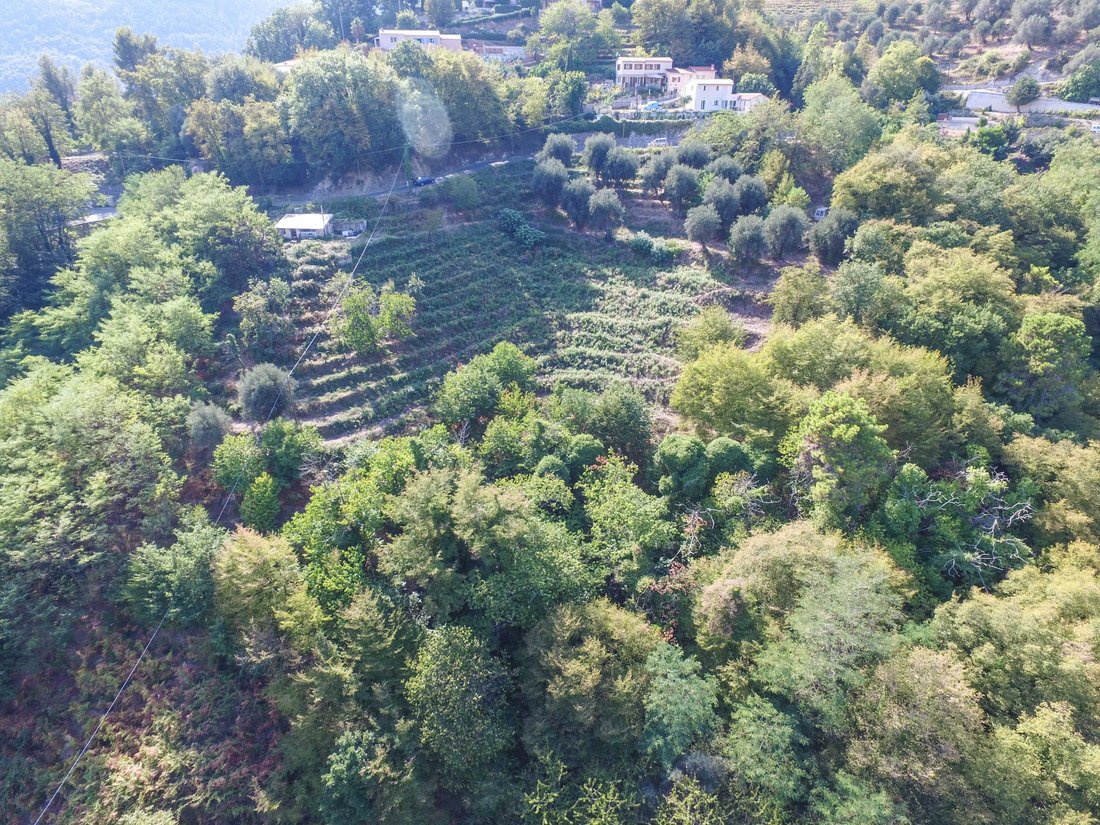 Sainte-Agnes, Provence-Alpes-Côte d'Azur, France 2 - 12256350