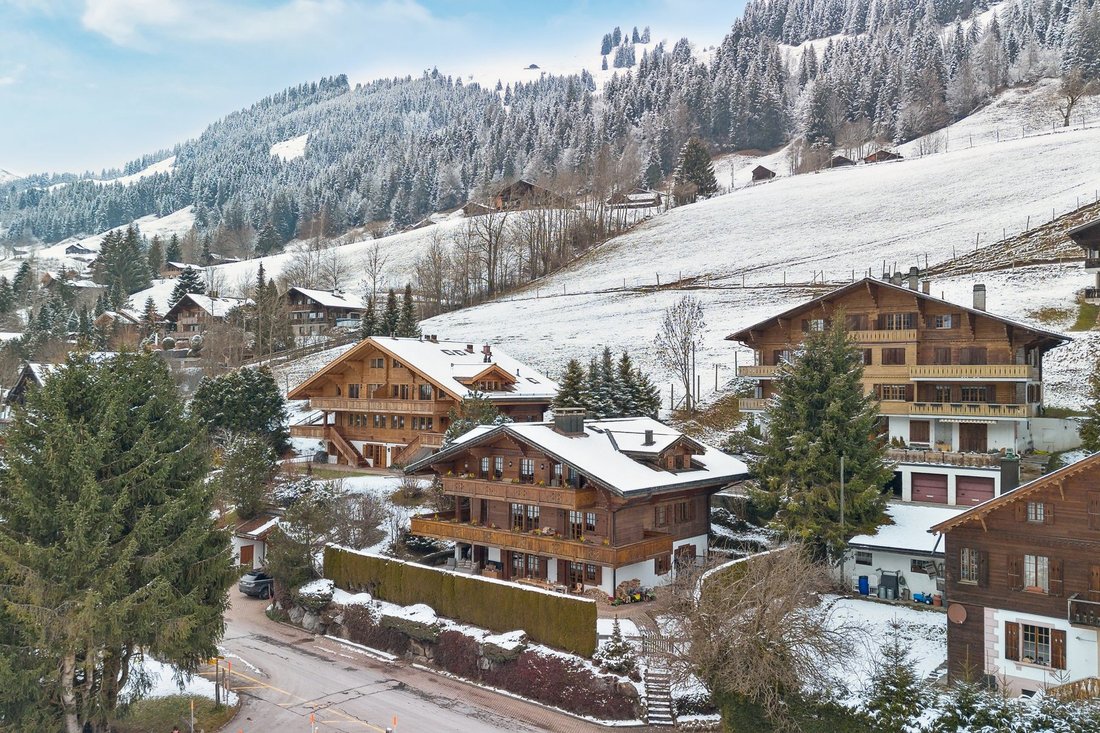 Magnificent Chalet With 3 Independent In Rougemont, Vaud, Switzerland