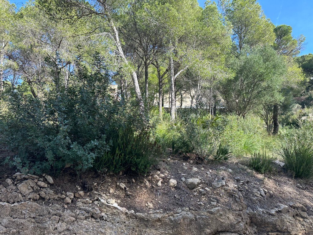 Autres à Capdepera, Îles Baléares, Espagne 4 - 13963511