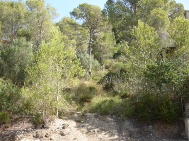 Autres à Capdepera, Îles Baléares, Espagne 1 - 13963511