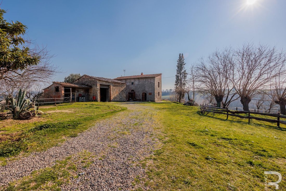 Farm Ranch in Asciano, Tuscany, Italy 4 - 13975100