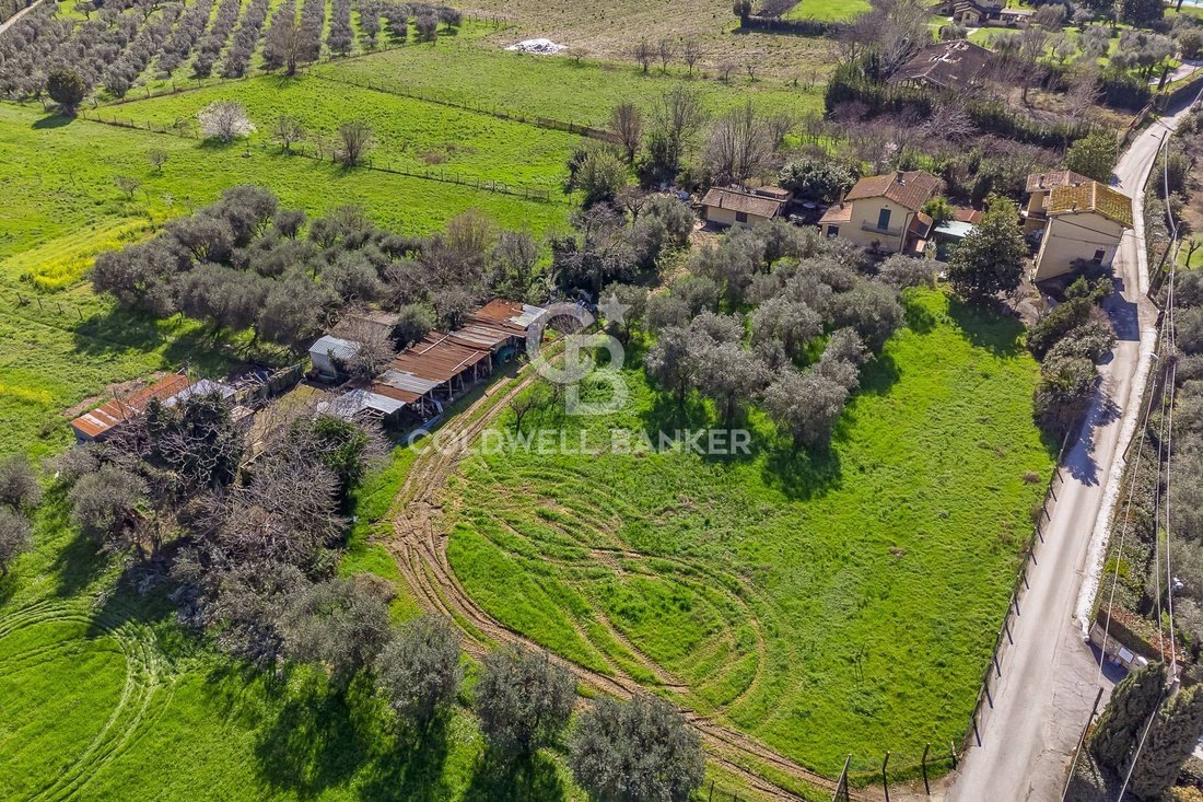 Villa in Pietrasanta, Tuscany, Italy 1 - 13976961