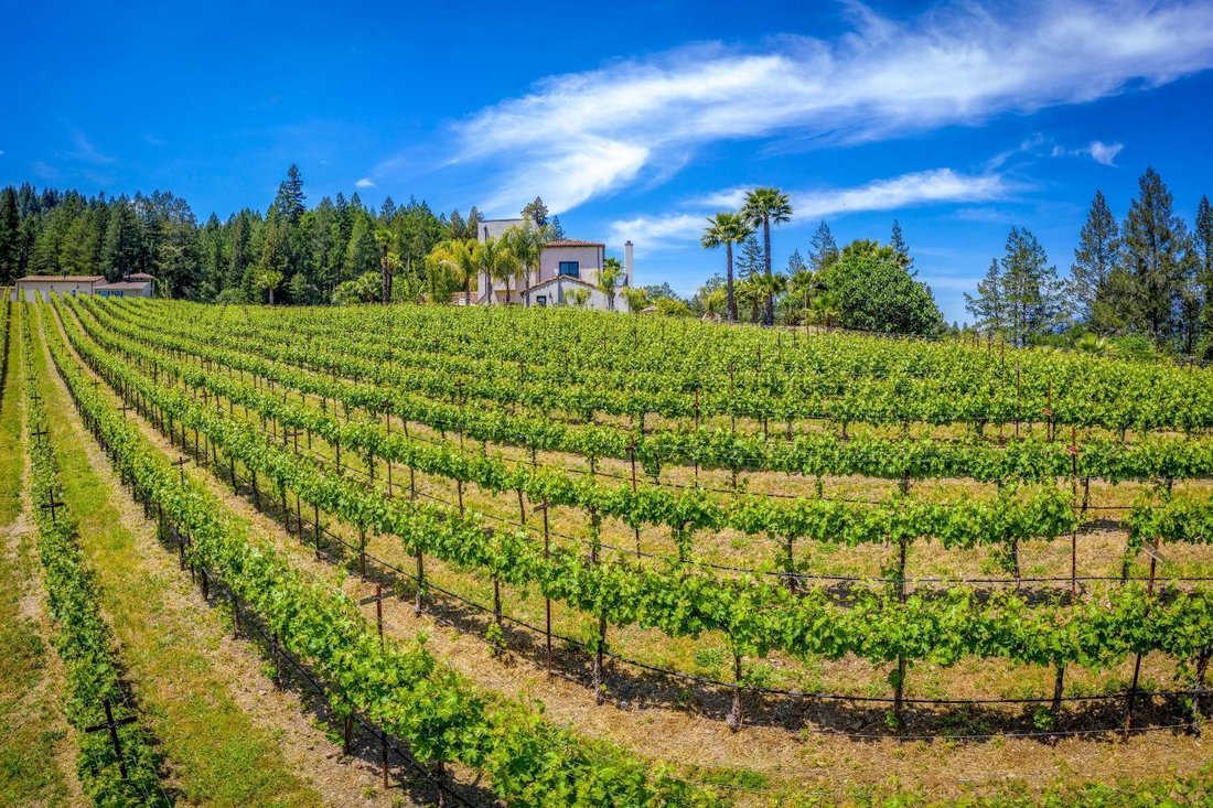 House in Calistoga, California, United States 3 - 13976304