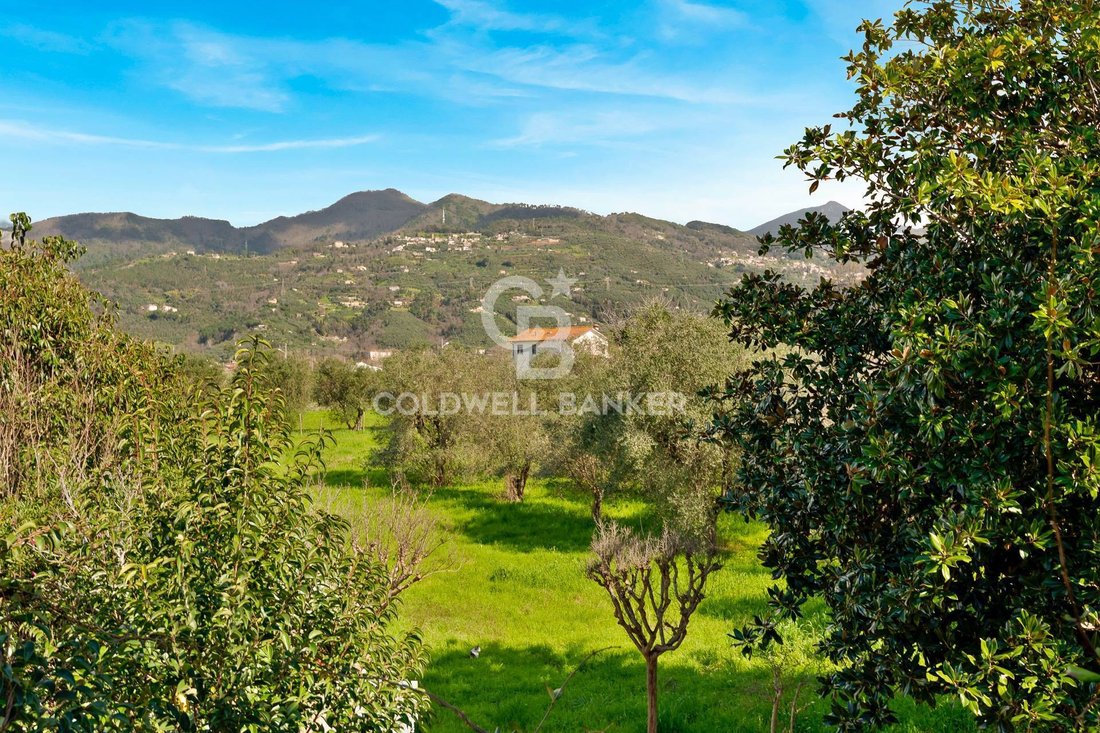 Villa in Pietrasanta, Tuscany, Italy 3 - 13976961