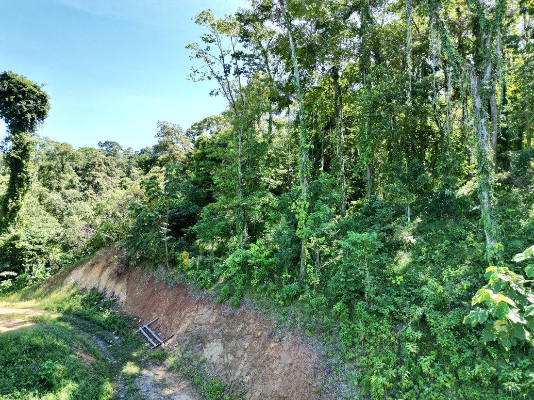 Prime Coastal Opportunity 24,104 Sqm Of High Ocean In Limon, Limón