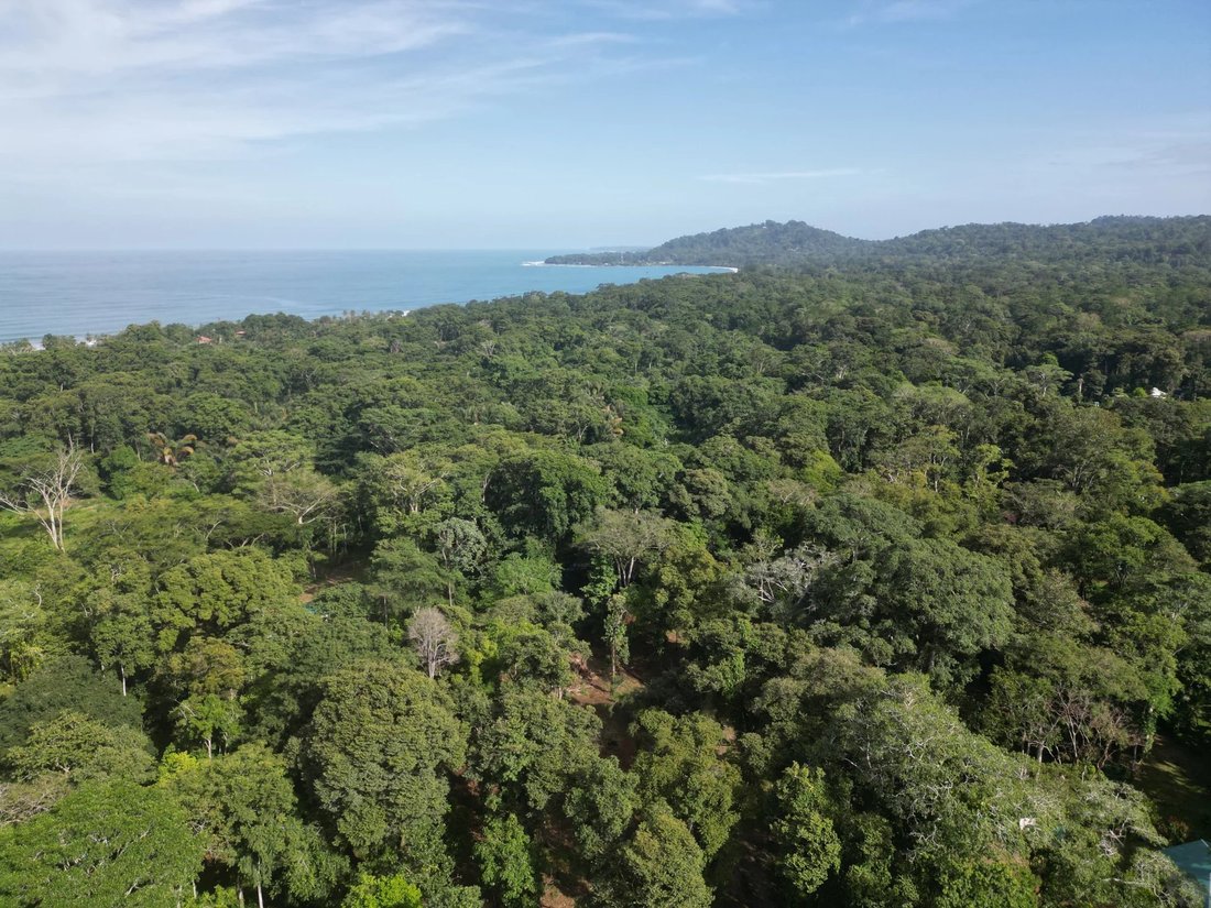 Prime Coastal Opportunity: 24,104 Sqm Of High Ocean In Limon, Limón ...