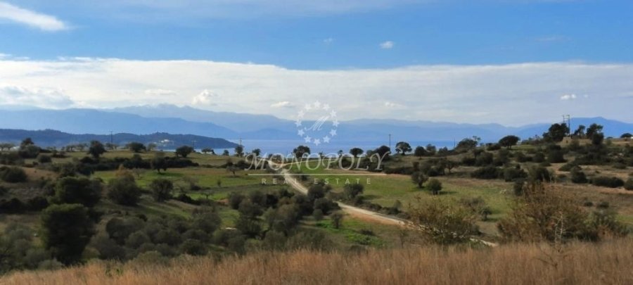 Koinotita Koilados, Kranidi, Greece 4 - 13979015