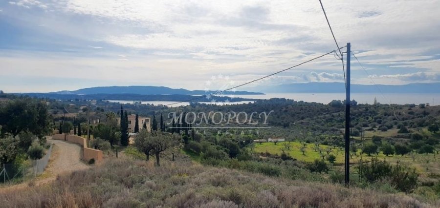 Koinotita Kranidiou, Kranidi, Greece 3 - 13979014
