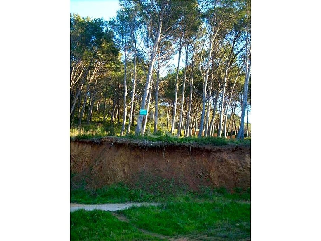 Land in Palamos, Catalonia, Spain 4 - 13981713