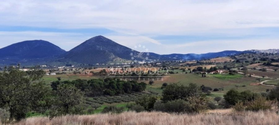 Koinotita Koilados, Kranidi, Greece 5 - 13979015