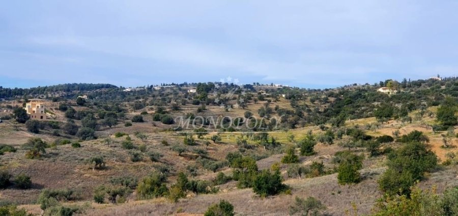 Koinotita Kranidiou, Kranidi, Greece 2 - 13979014