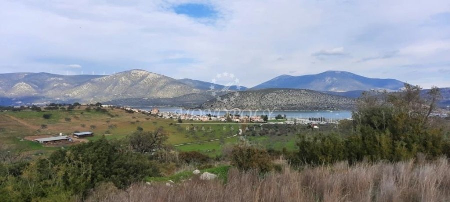 Koinotita Koilados, Kranidi, Greece 1 - 13979015