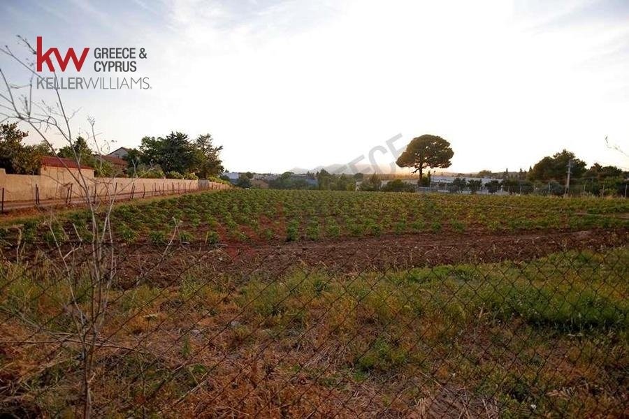 Land in Kryoneri Municipal Unit, Attica, Greece 3 - 13981660