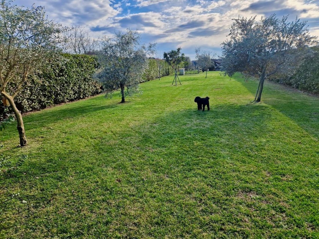 Villa a Pappiana, Toscana, Italia 5 - 13979987