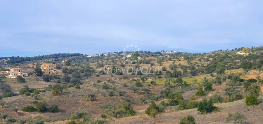 Koinotita Kranidiou, Kranidi, Greece 5 - 13979014