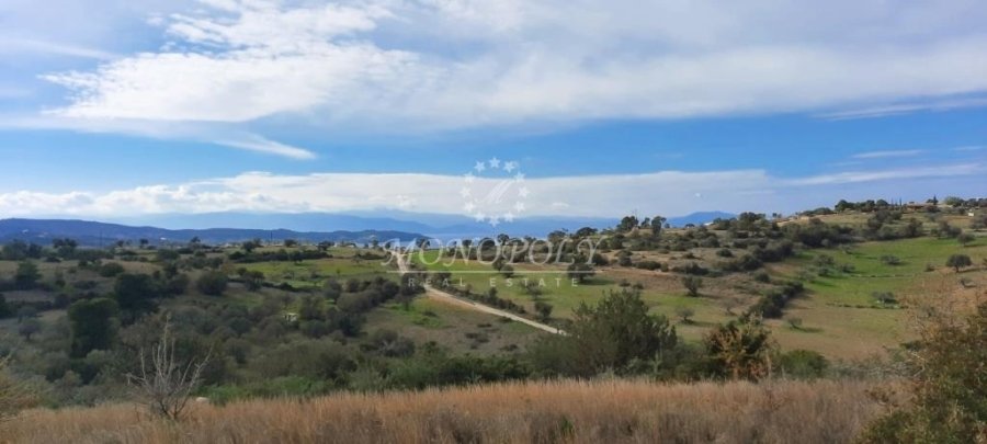 Koinotita Koilados, Kranidi, Greece 2 - 13979015