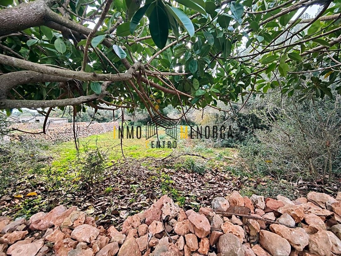 Country House in Ciutadella de Menorca, Balearic Islands, Spain 4 - 13986777