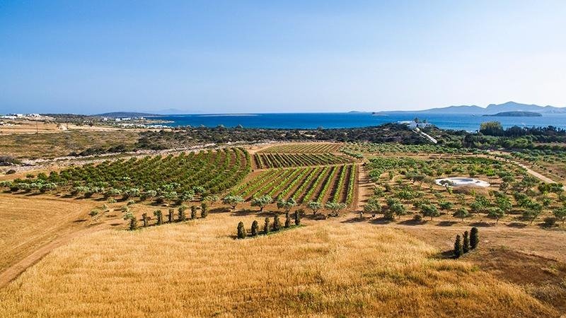 Land in Paros, Aegean, Greece 2 - 13987839