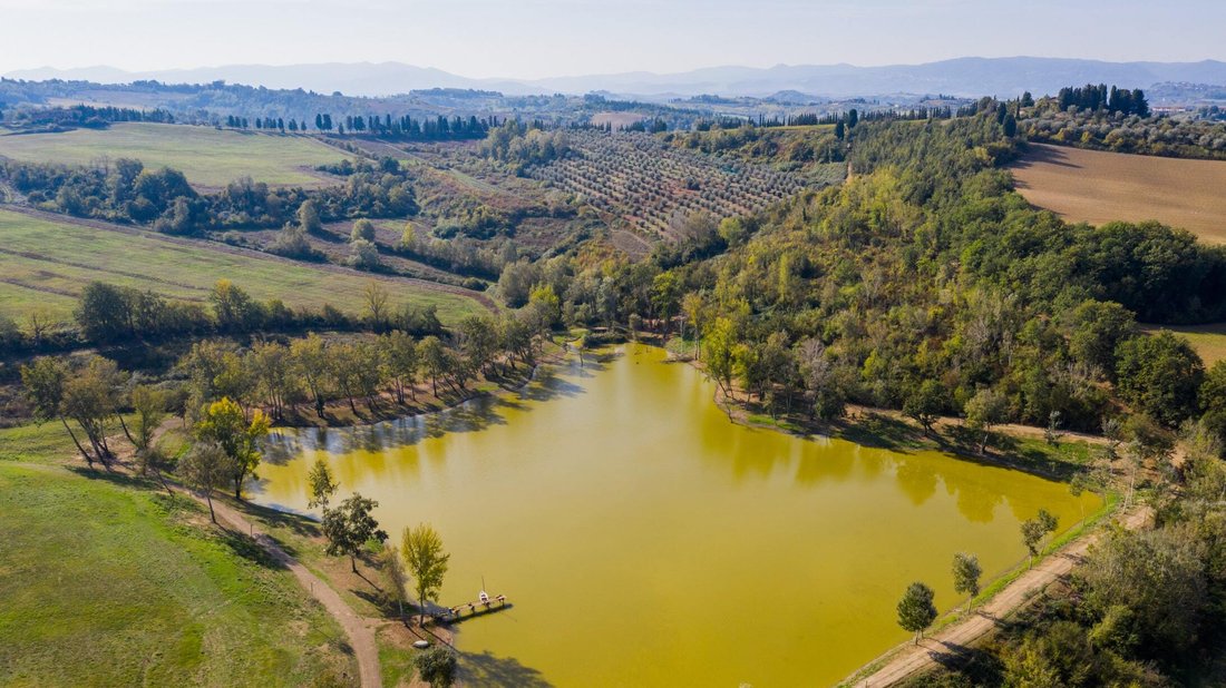 Estate in Peccioli, Tuscany, Italy 3 - 13987835