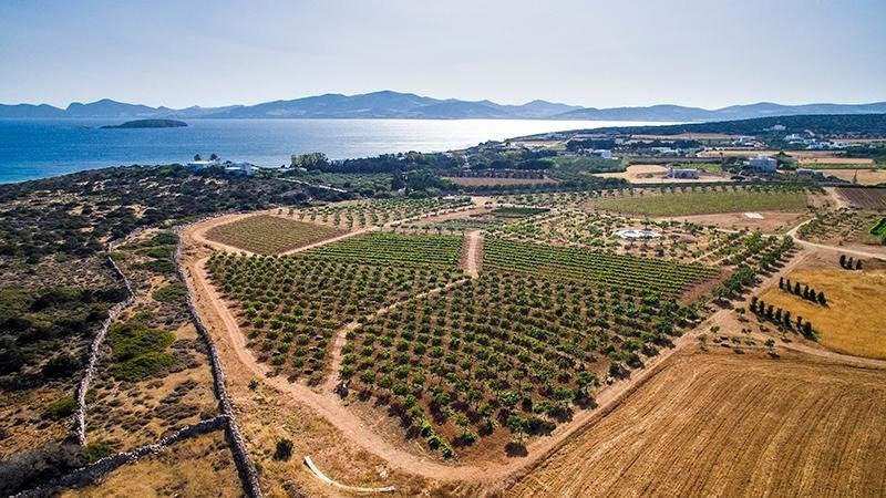 Land in Paros, Aegean, Greece 1 - 13987839