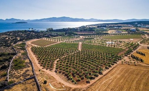 Terreno in Paro, Aegean, Grecia 1