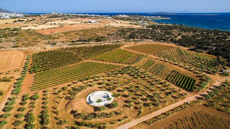 Land in Paros, Aegean, Greece 5 - 13987839