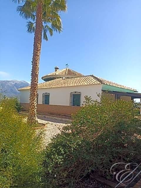 Villa in Vinuela, Andalusia, Spain 4 - 13990950