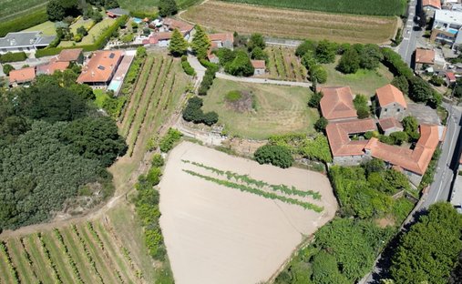 Azienda agricola a Nogueira e Silva Escura, Oporto, Portogallo 1