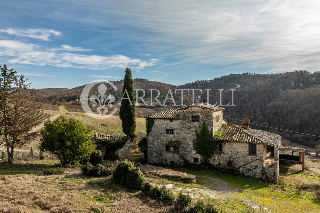 Corps de ferme à Radda in Chianti, Toscane, Italie 1 - 13585576
