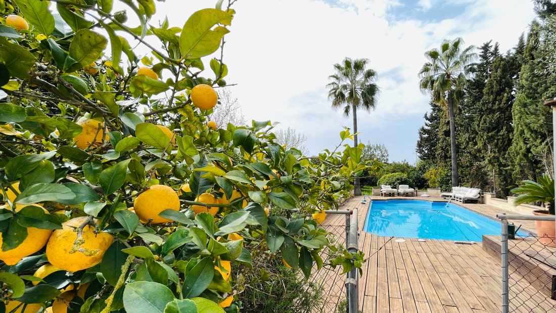 Country House in Algaida, Balearic Islands, Spain 2 - 13995059