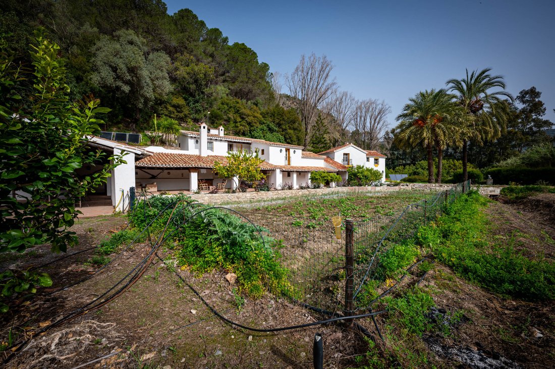 Maisons de campagne à Gaucín, Andalousie, Espagne 1 - 13996012