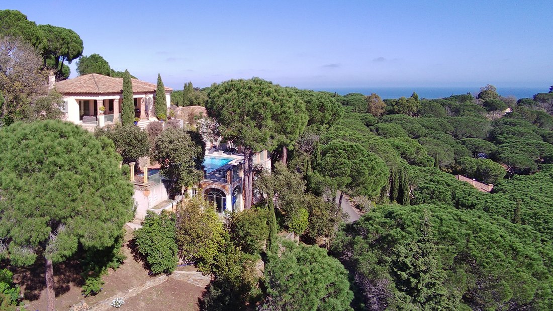 House in Ramatuelle, Provence-Alpes-Côte d'Azur, France 4 - 14001485