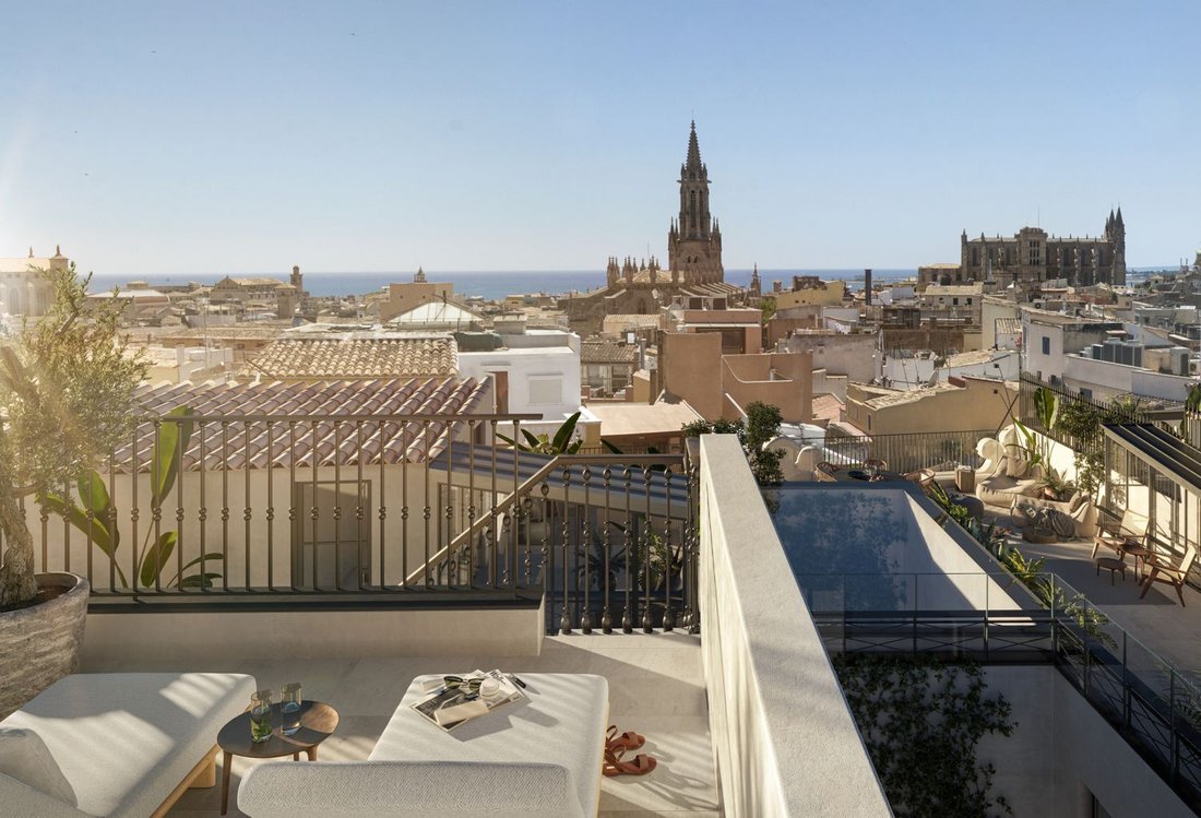 Apartment in Palma, Balearic Islands, Spain 2 - 14003660