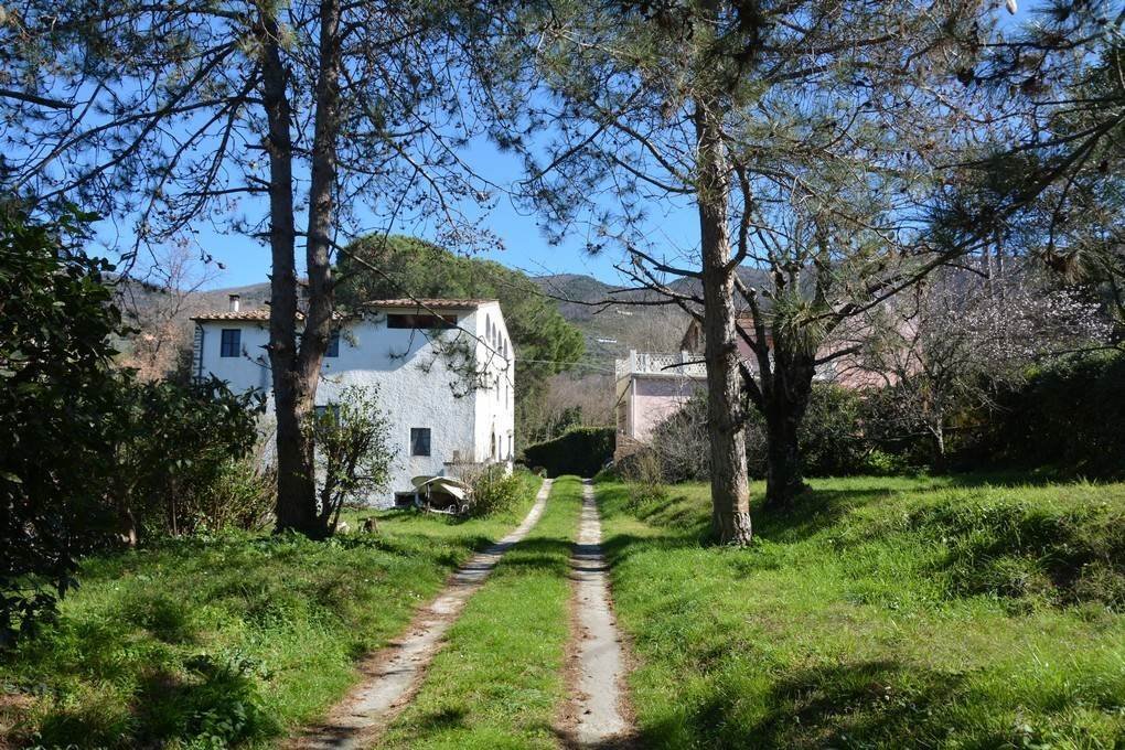 Autres à Calci, Toscane, Italie 2 - 13927283