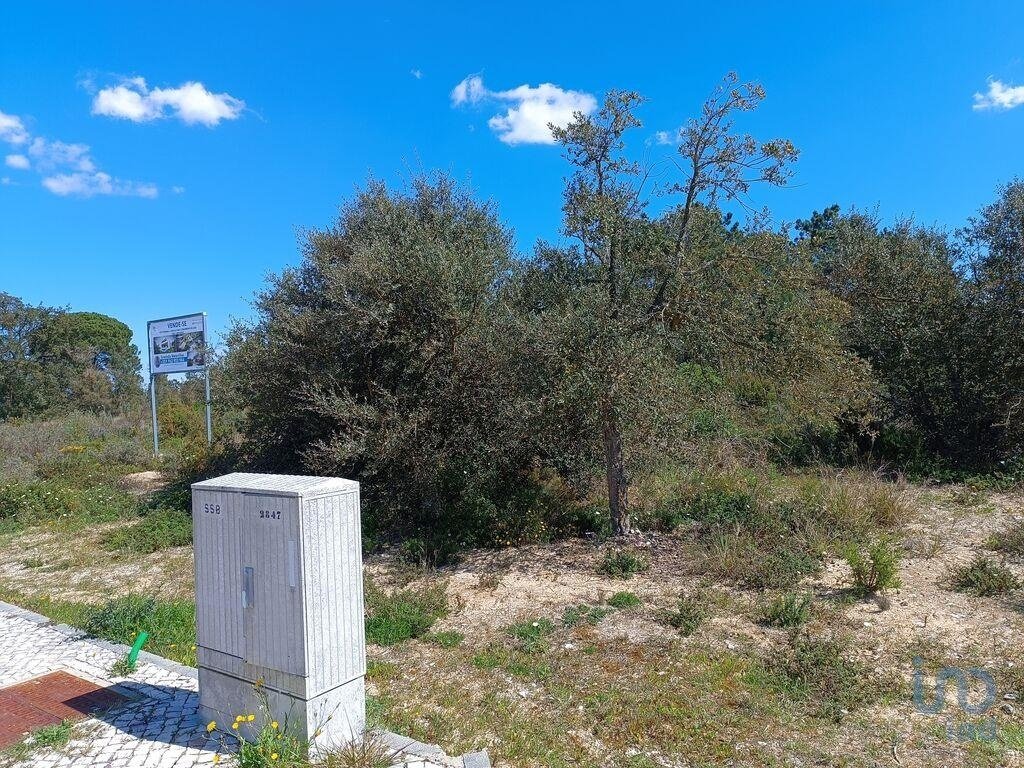 Land in Santiago, Setubal, Portugal 4 - 11917498