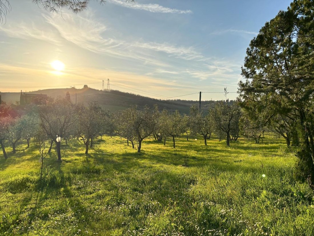 Villa in Ortimino - Martignana - Botinaccio, Montespertoli, Tuscany 5 - 14006998