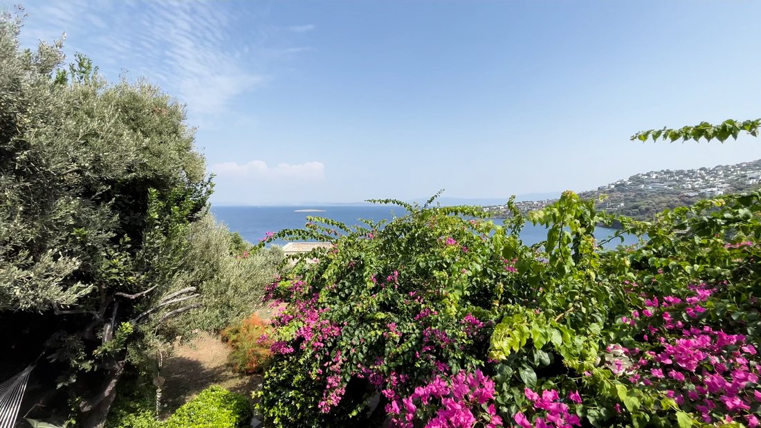 Villa in Bodrum, Muğla, Turkey 2 - 14010451
