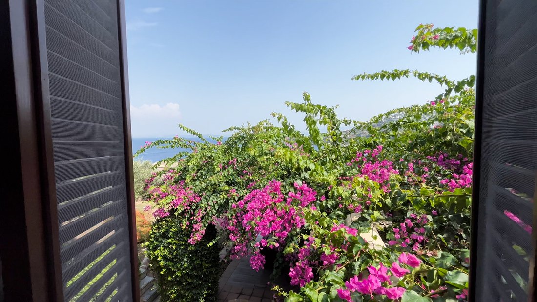 Villa in Bodrum, Muğla, Turkey 3 - 14010451