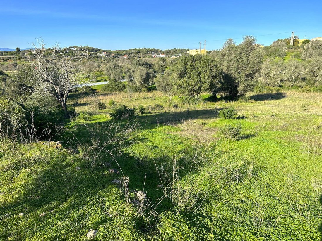 Land in Porches, Algarve, Portugal 4 - 14014692