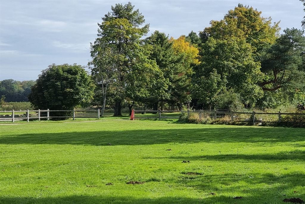 A 17th-Century Norman Dream: Where Time Stands Still in 5 Hectares of Whispering Woods