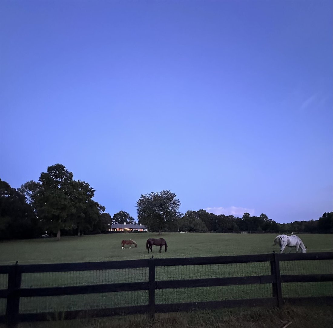 Morning Meadow Farm In Landrum, South Carolina, United States For Sale