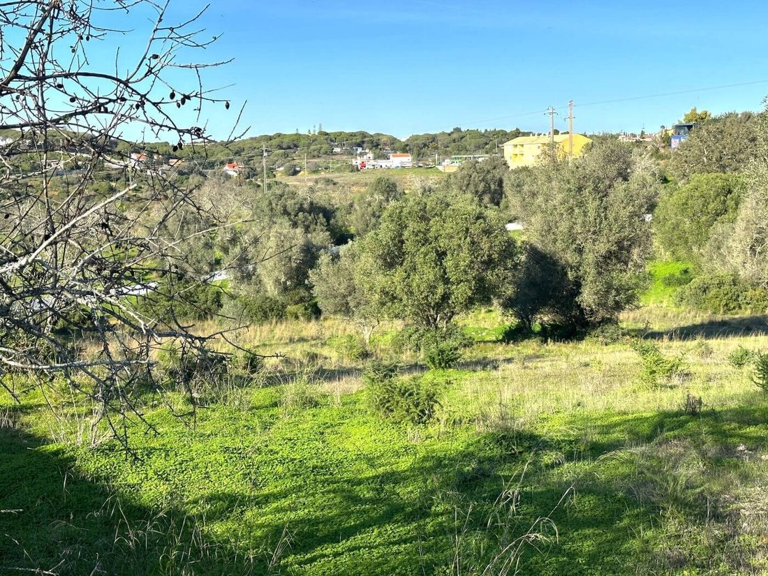 Land in Porches, Algarve, Portugal 5 - 14014692