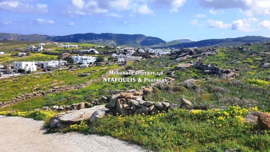 Mykonos, Aegean, Greece 4 - 14014544