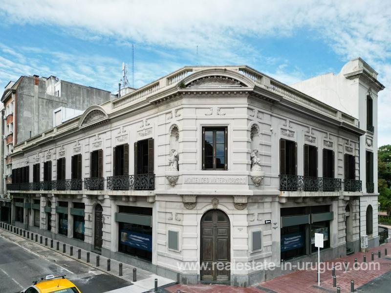 Estate in Montevideo, Departamento de Montevideo, Uruguay 3 - 14015188