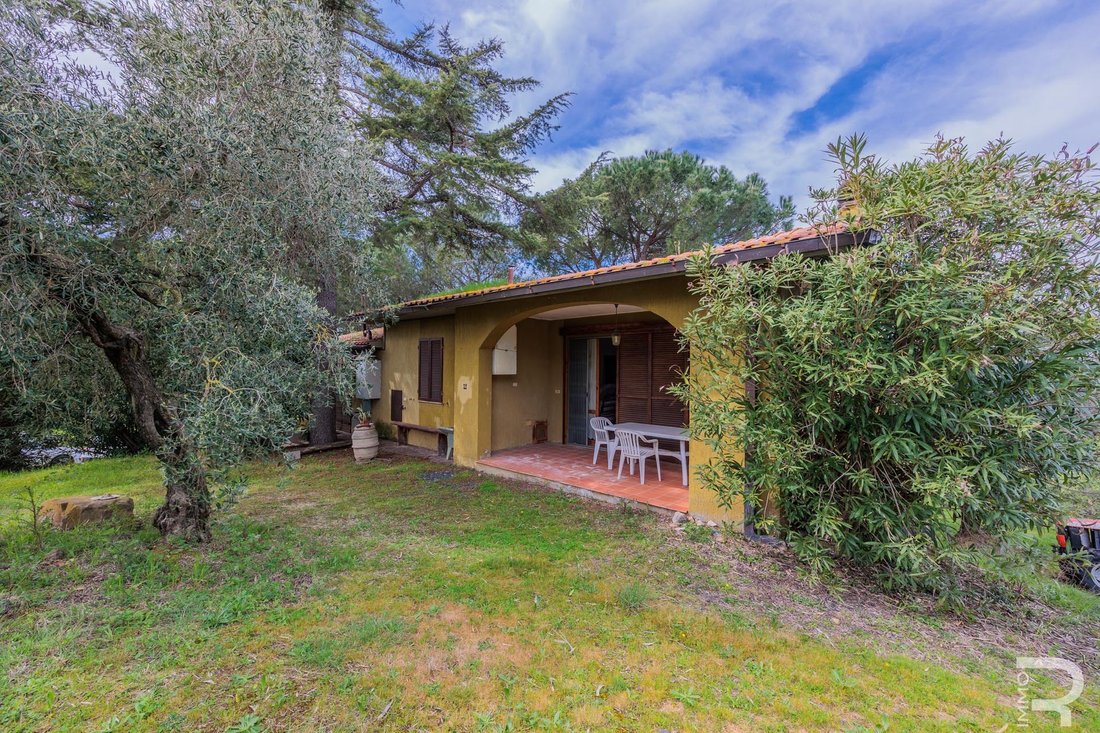 Country House in Grosseto, Tuscany, Italy 4 - 14015151