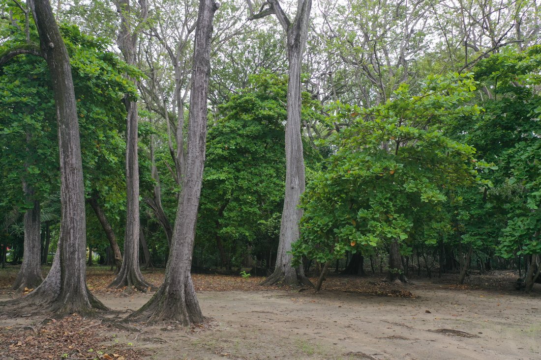 Terreno a Santa Teresa Beach, Provincia di Puntarenas, Costa Rica 3 - 14001876