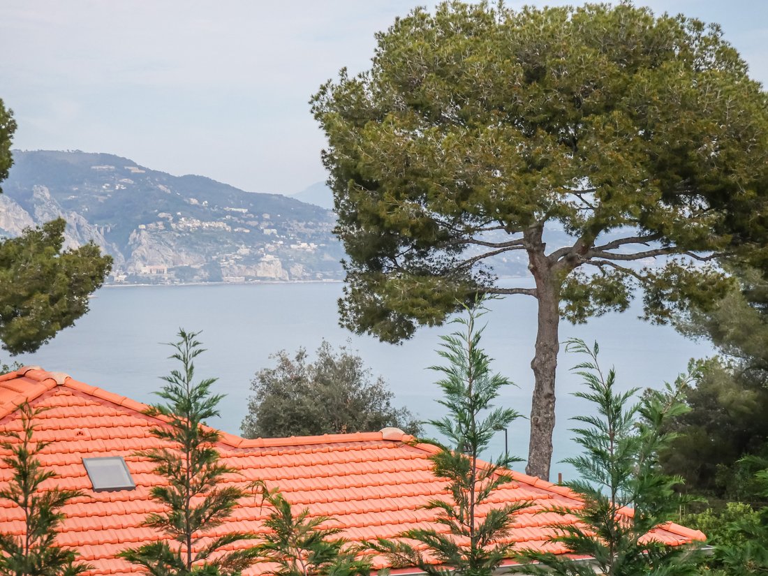 Villa in Cap Martin, Roquebrune-Cap-Martin, France 3 - 14023959